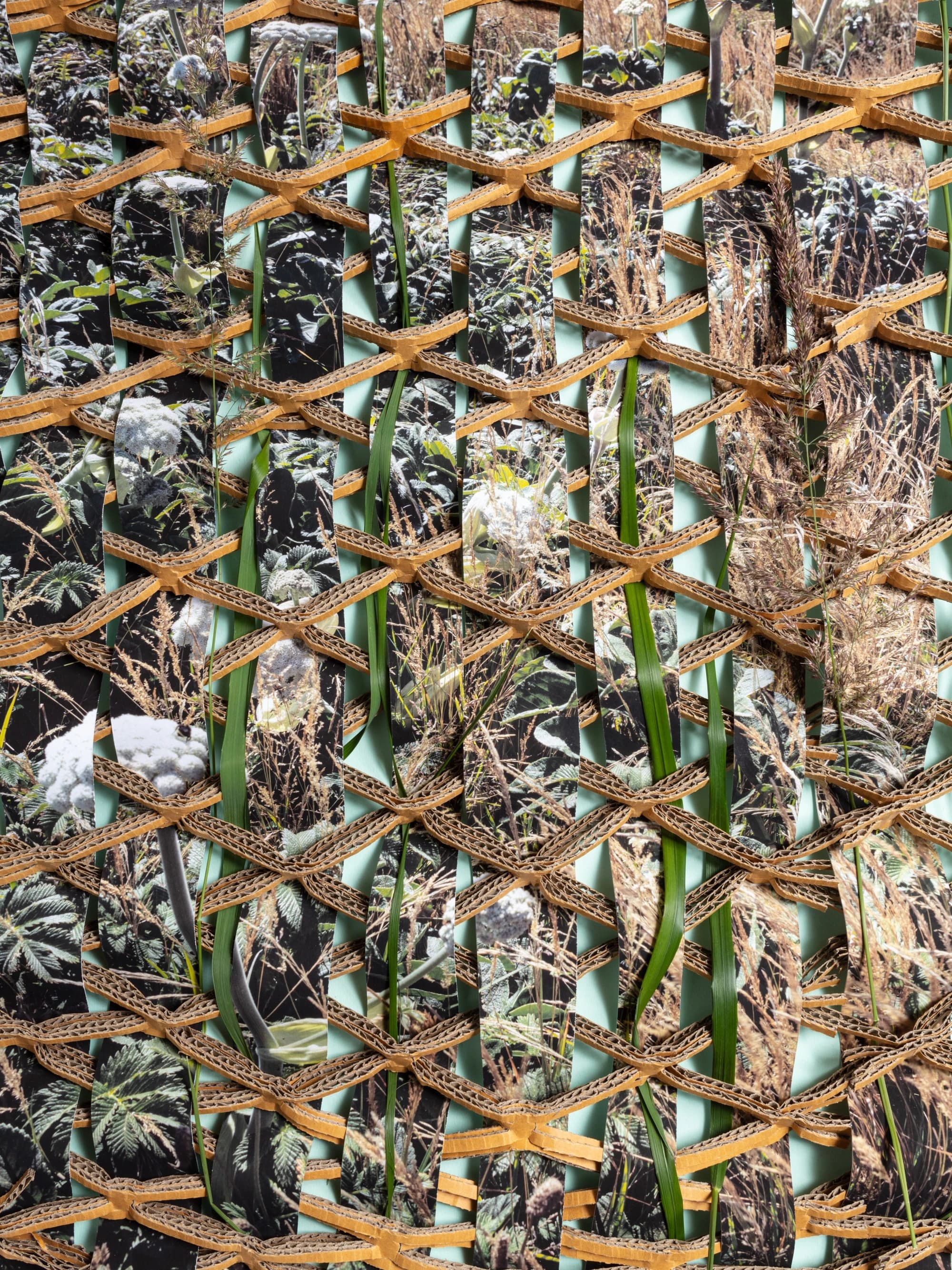 Brown artwork collage with lattice-patterned starfish by artist Teresa Christiansen.