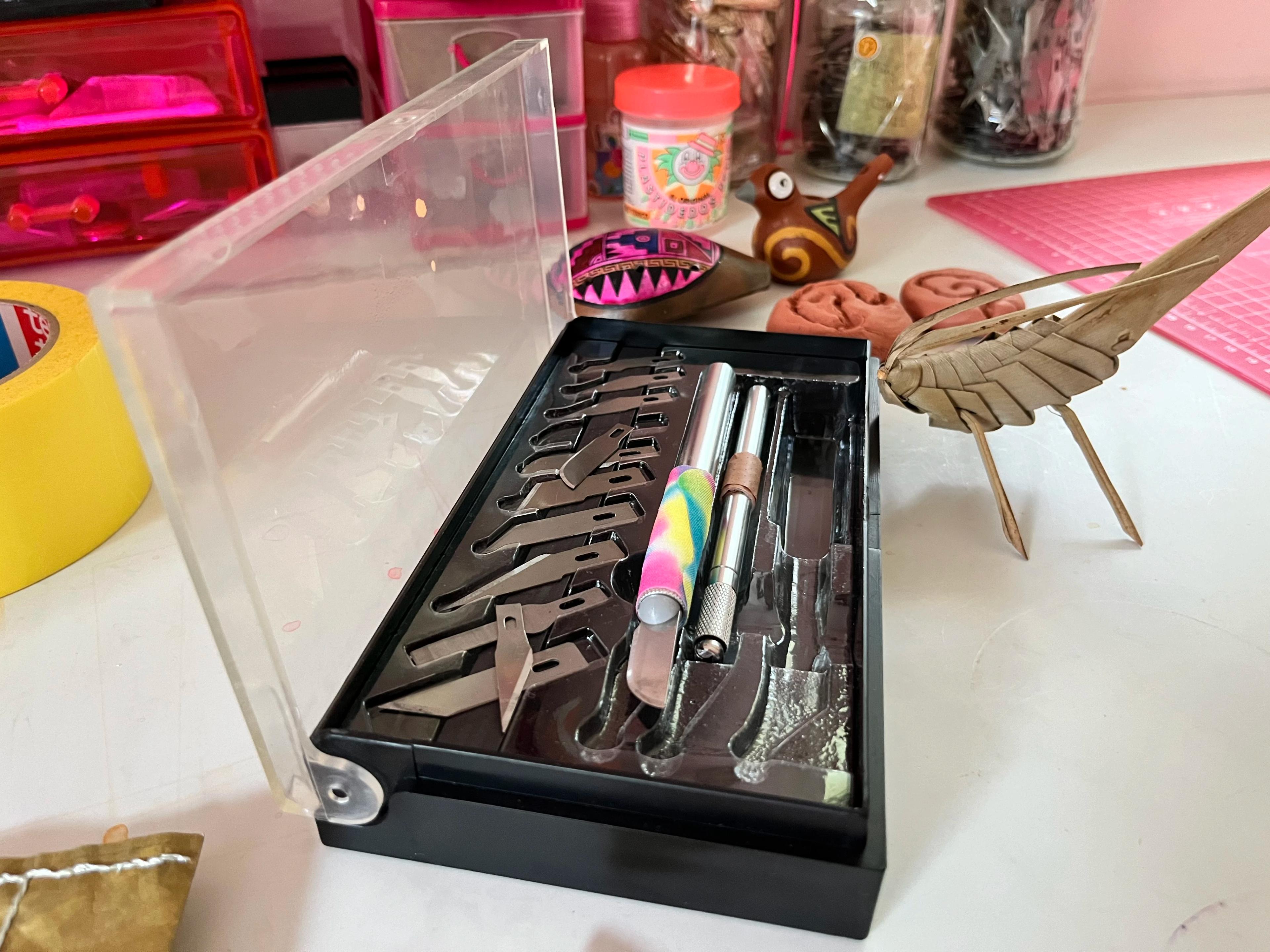 A box of horizontal blades and knives in artist Lucha Rodríguez's studio.