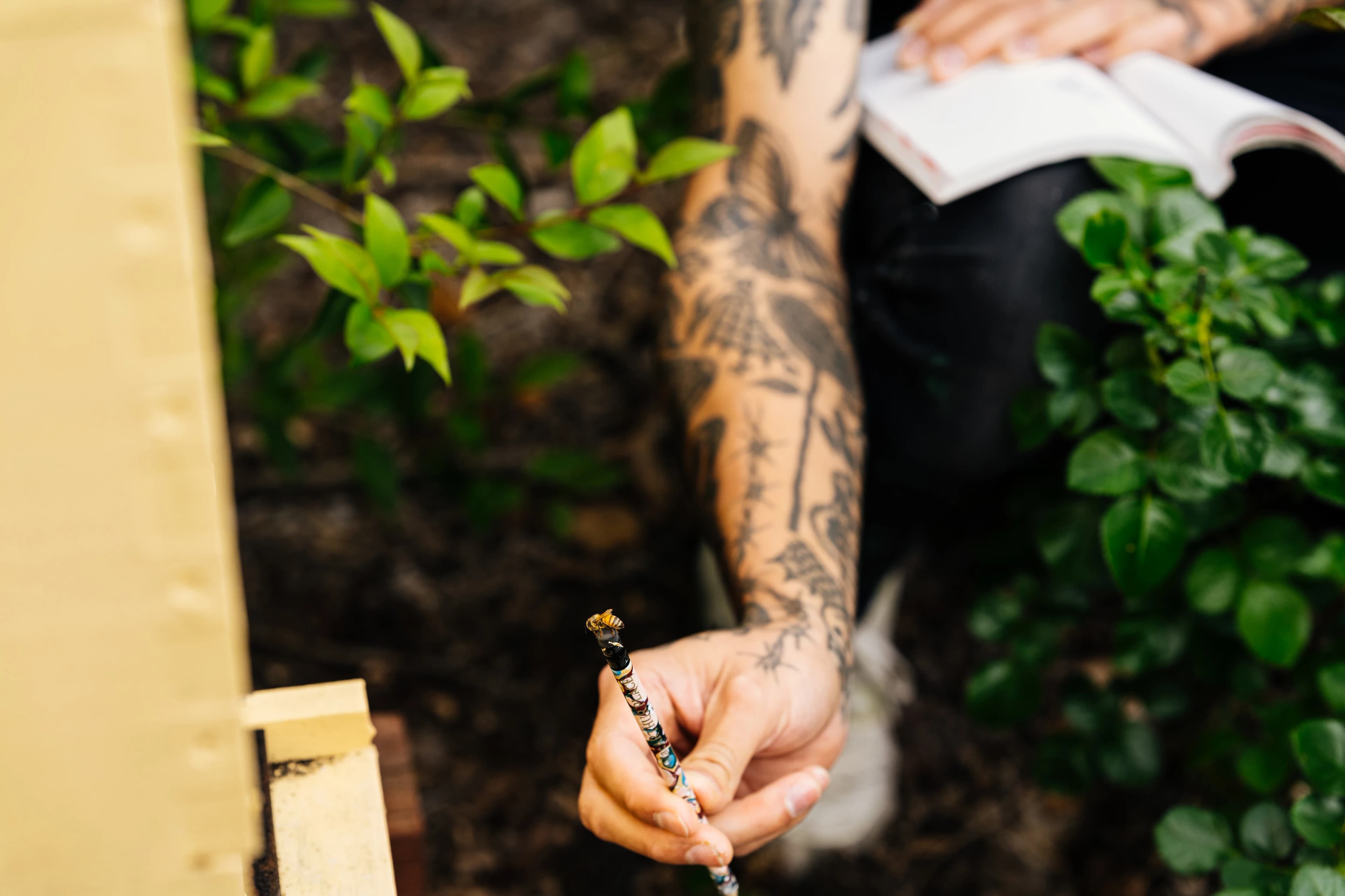 A honeybee on the eraser of artist Eddie Perrote's pencil while sketching during his Uprise Art x MacArthur Place Residency.